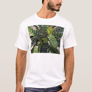 Camiseta Folhas listradas planta de Vriesea Splendens