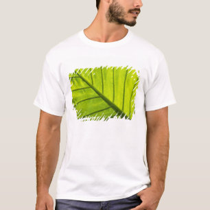 Camiseta Folhas verdes com veias de folhagem tropical em 2