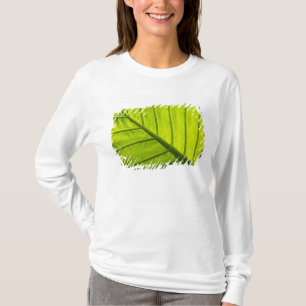 Camiseta Folhas verdes com veias de folhagem tropical em 2