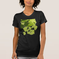 Folhas Verdes de Videira