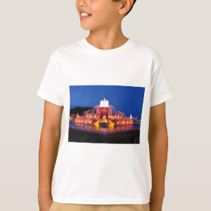 Camiseta Fonte 02.JPG de Buckingham