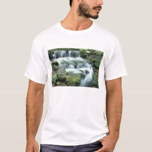 Camiseta Fonte de Samambaia, Parque Nacional de Yosemite