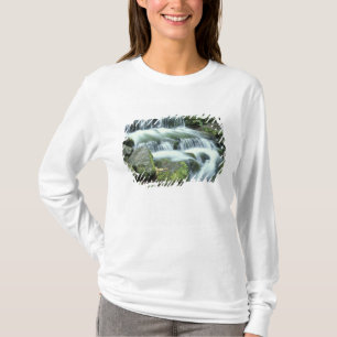 Camiseta Fonte de Samambaia, Parque Nacional de Yosemite