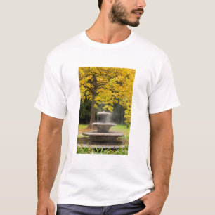 Camiseta Fonte junto a uma árvore no outono, Alemanha