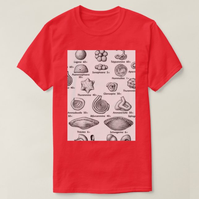Camiseta Foraminifera I ama fósseis (Frente do Design)