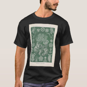 Camiseta Foraminíferos Thalamophora Ernst Haeckel