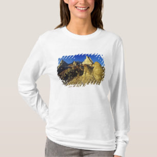 Camiseta Formações em Badlands no Parque Provincial de Dino