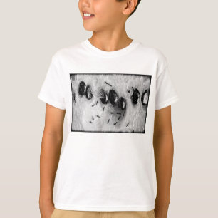 Camiseta formigas surfadoras