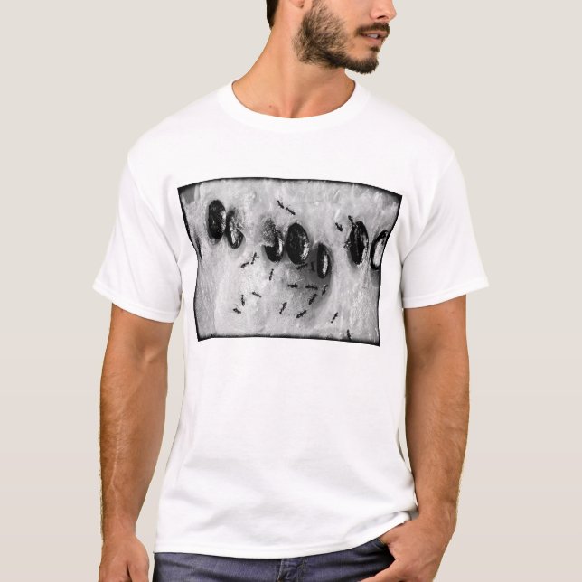 Camiseta formigas surfando (Frente)
