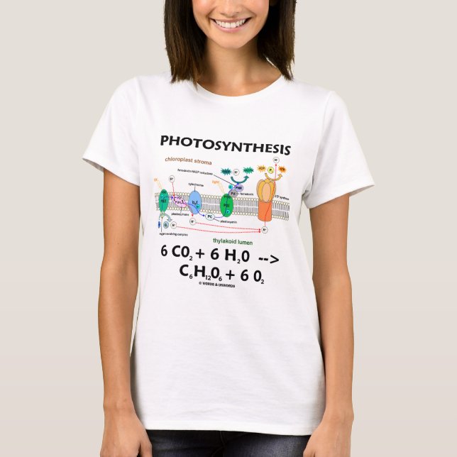 Camiseta Fórmula da fotossíntese (produto químico) (Frente)