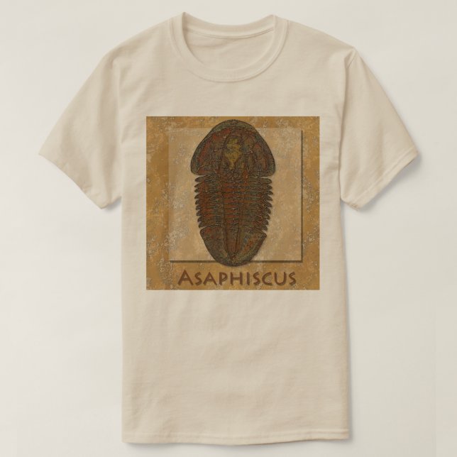 Camiseta Fóssil Trilobita Asaphiscus (Frente do Design)