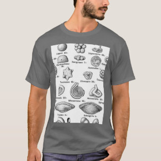 Camiseta Fossils Paleontologistas