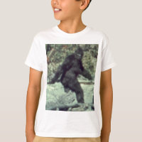 FOTO 1967 DE BIGFOOT SASQUATCH DO ORIGINAL