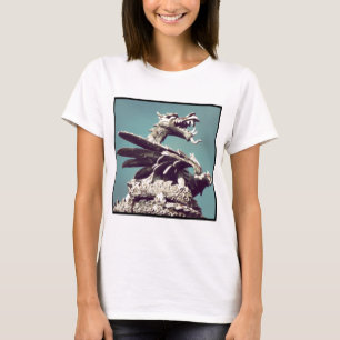 Camiseta Foto ao quadrado - Dragão