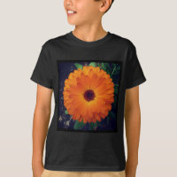 Foto ao quadrado - Marigold