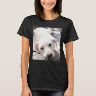 Camiseta Foto de Cachorro Bonito Descanso no Pai Engraçado