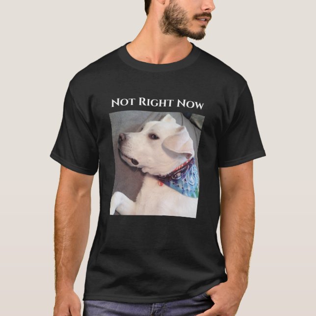 Camiseta Foto de Cachorro Preguiçoso Engraçado Vestindo Sca (Frente)