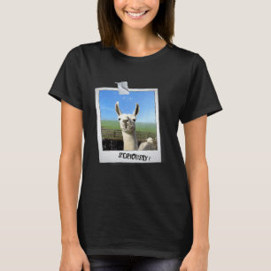 Camiseta Foto de lhama e alpaca dizendo seriamente
