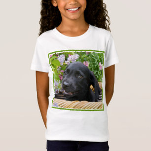 Camiseta Foto de Pet Pet, Cão-de-Cão-de-Cachorro Preto