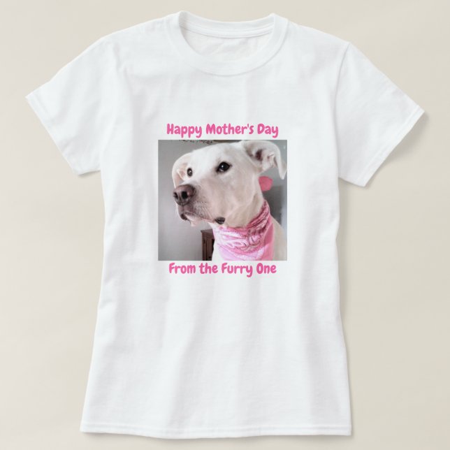 Camiseta Foto de um Cachorro Branco e Bonito com Olhos Molh (Frente do Design)