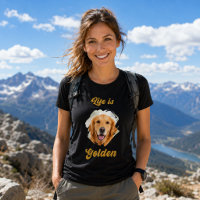 Foto do Golden Retriever A Vida é Dourada