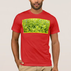 Camiseta Foto "Mint Vegetais". Compre agora