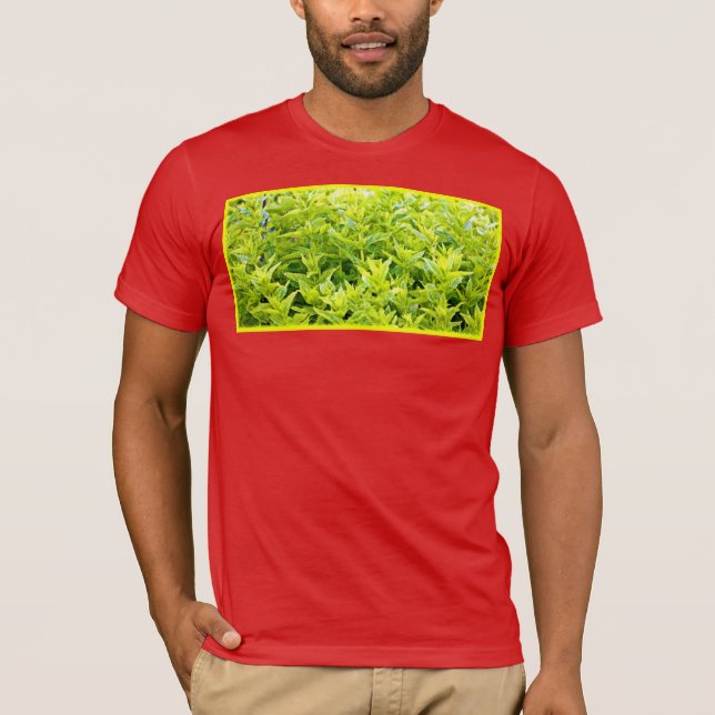 Camiseta Foto "Mint Vegetais". Compre agora (Frente)