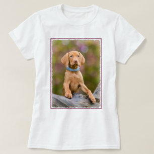 Camiseta Foto para o Cachorro da Vizsla Dog Húngaro -
