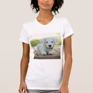 Camiseta Foto personalizada exclusiva do seu próprio Desig