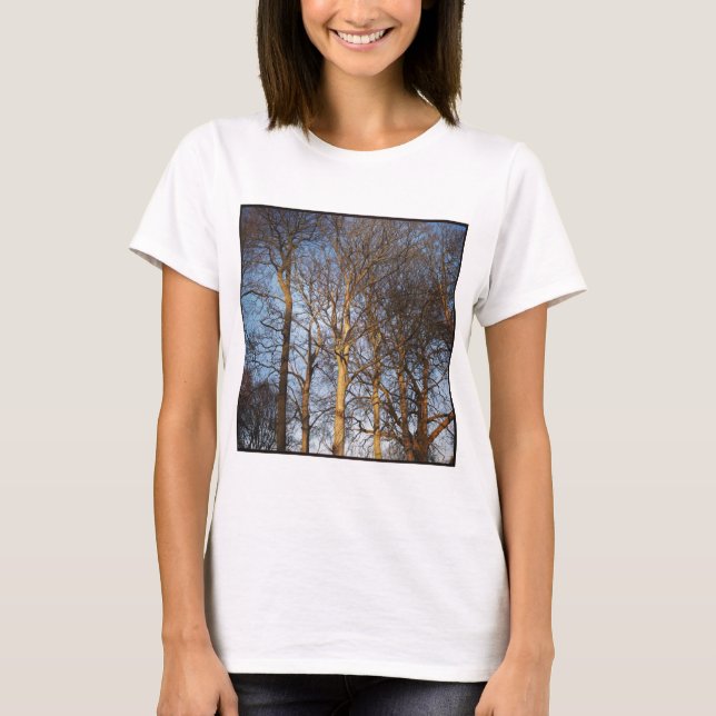 Camiseta Foto Quadrada - Árvores de Inverno Sunlit (Frente)