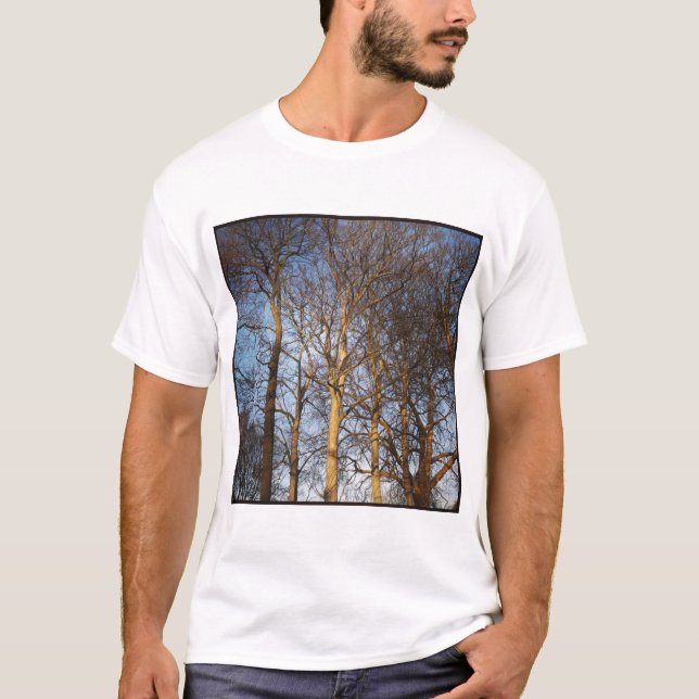 Camiseta Foto Quadrada - Árvores de Inverno Sunlit (Frente)