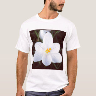 Camiseta Foto Quadrada - Crócus Branco