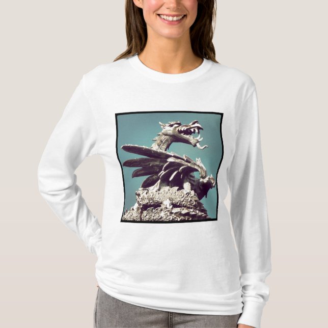 Camiseta Foto Quadrada - Dragão (Frente)
