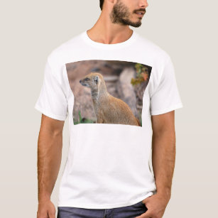 Camiseta Fotografia amarela do mangusto