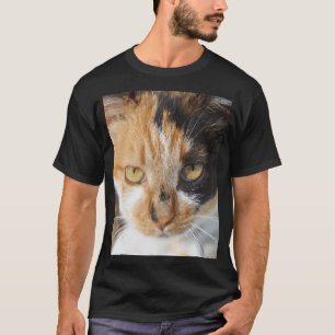 Camiseta Fotografia Colorida Multicor de Gato Tricolor Retr