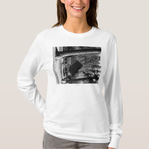 Camiseta Fotografia da opinião da cabine do lago diamond,