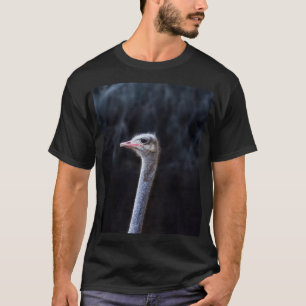 Camiseta Fotografia de Avestruz