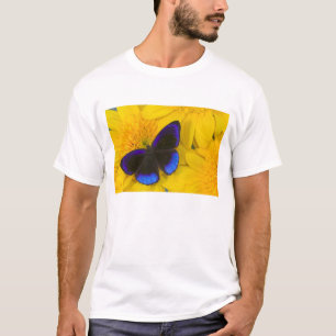 Camiseta Fotografia de Borboleta