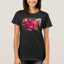 Fotografia de Flor de Rosa Rosa Vibrante Floral