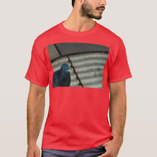 Camiseta Fotografia de pombo