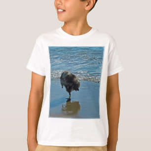 Camiseta Fotografia do Balé Keeshond - Arte de Cachorro Or