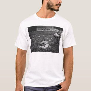 Camiseta Fotografia dos arandos da colheita da rapariga