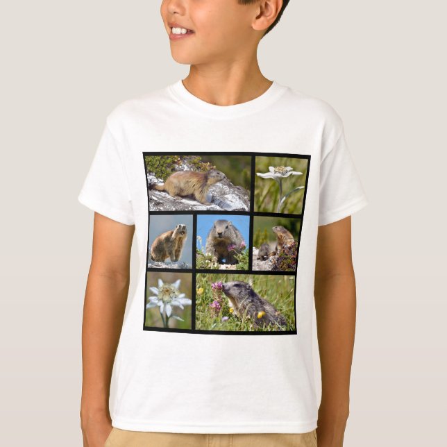 Camiseta Fotos de mosaico, marmotas alpinas e edelweiss (Frente)