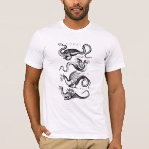Camiseta Four Dragons from Mythology