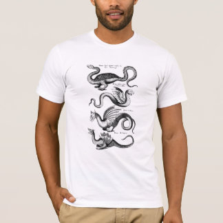 Camiseta Four Dragons from Mythology