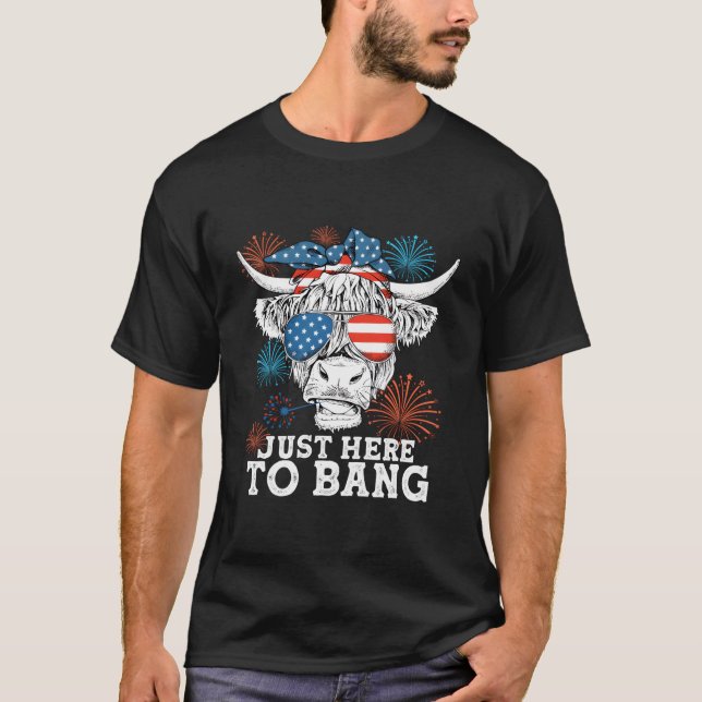 Camiseta Fourth Of July 4Th Of July I'M Just Here To Bang C (Frente)