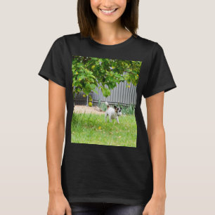 Camiseta Fox Terrier Cara de Medo Engraçada,
