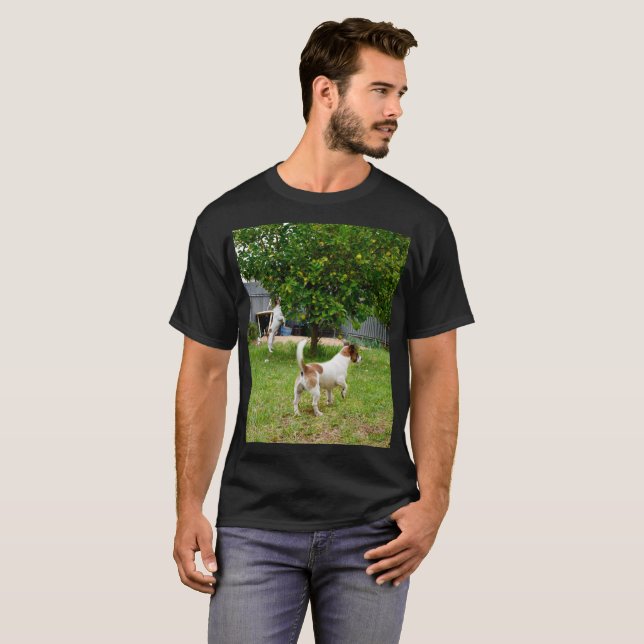 Camiseta Fox Terrier Pulando Em Uma Árvore, (Frente Completa)