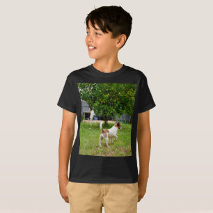 Camiseta Fox Terriers Playtime, Boys Black T-shirt