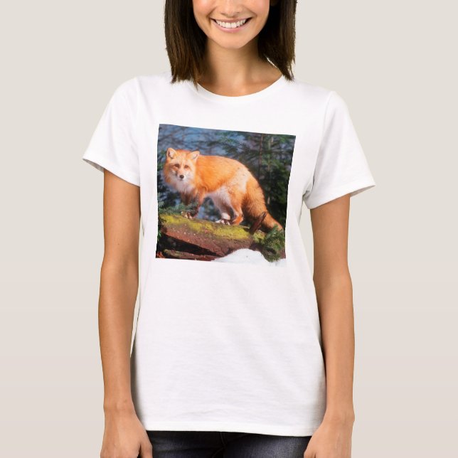 Camiseta Fox vermelho em um registro (Frente)